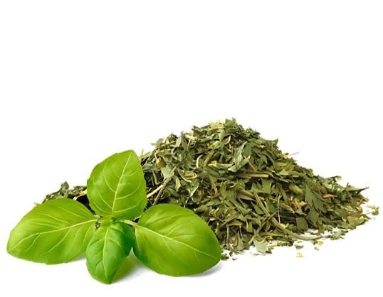 Albahaca