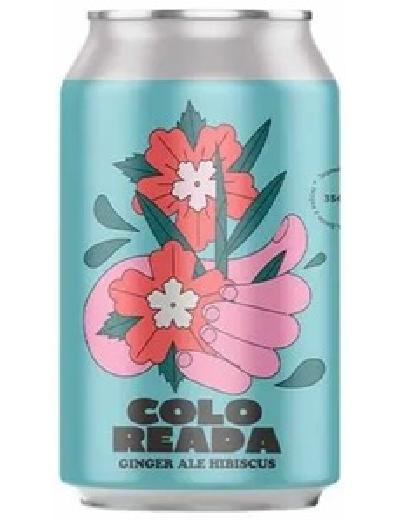 Agua de Frutas Ginger Rosa Hibiscus x 354ml