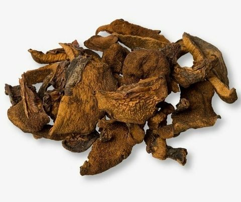 Hongos Secos Chile (Boletus)