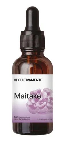 Maitake x 50ml Cultivamente