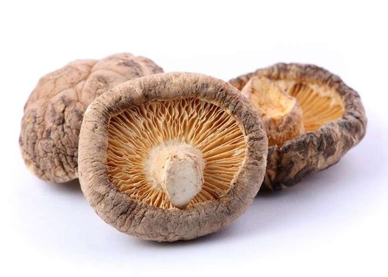 Hongos Shitake Enteros