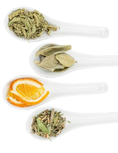 Yuyitos con Naranja (naranja, cedron, burrito, boldo) x 50gr