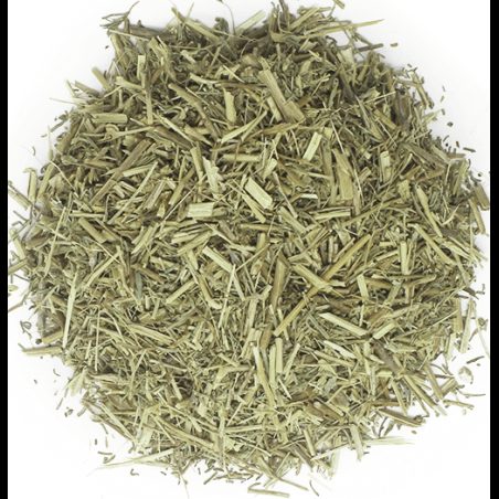 Alfalfa