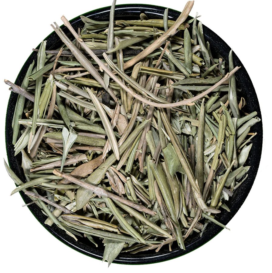 Olivo Hojas