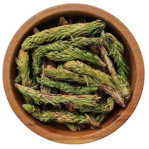 Cola de Quirquincho