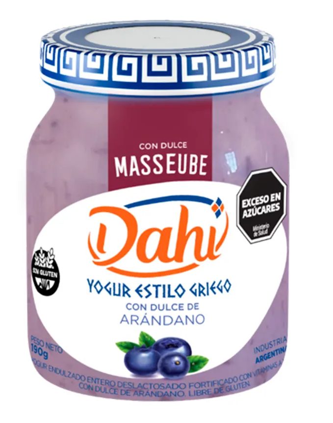 Yogurt Dahi Griego con Arandanos x 200gr