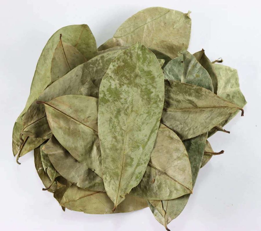 Graviola
