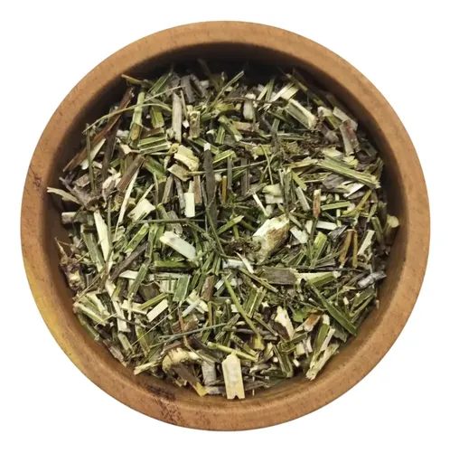 Verbena