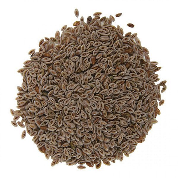 Psyllum Semillas