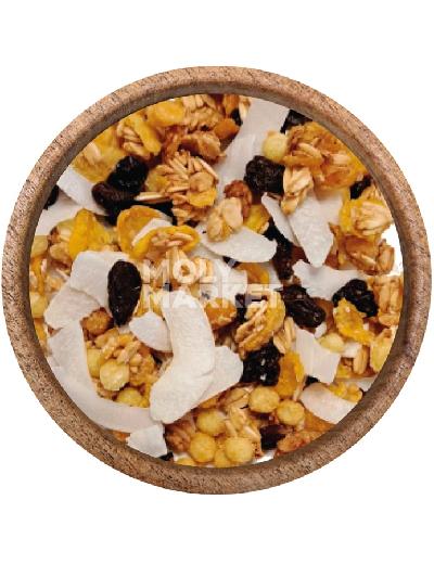 Granola Cocada Coco y Pasas San Lucas