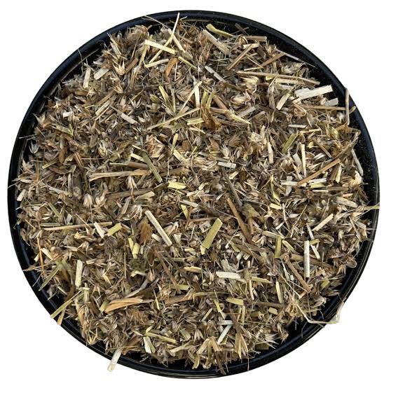 Yerba de Pollo