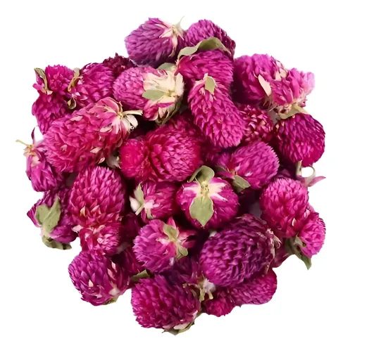 Siempre Viva Hierba - Gompherena Globosa