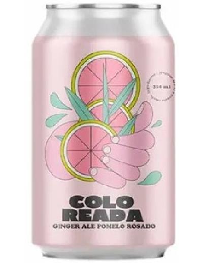 Agua de Frutas Ginger Pomelo Frambuesa x 354ml